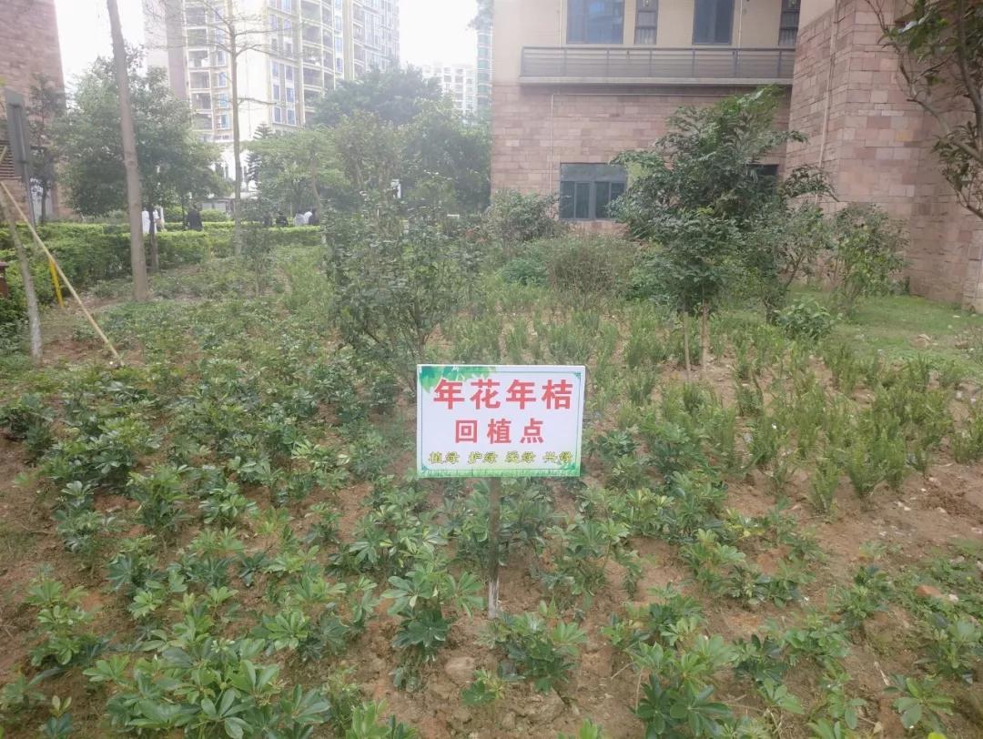 吉祥坊wellbet