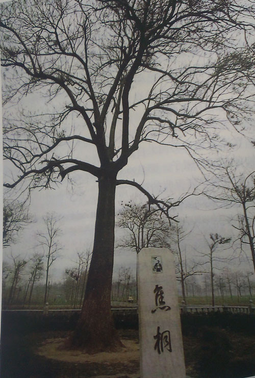 吉祥坊wellbet